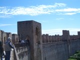 CIMG8342